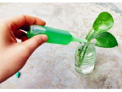 植物營養(yǎng)液對植物有什么好處？
