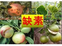 出人意料含腐植酸水溶肥料，作用效果這么強(qiáng)！你還不用么